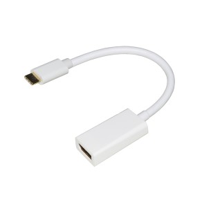 Adattatore - da Usb C a Displayport Femmina - Bianco