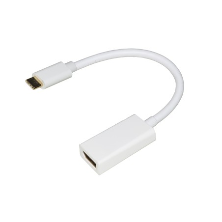 Adattatore - da Usb C a Displayport Femmina - Bianco