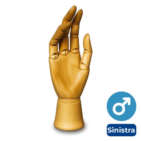Mano Sinistra Snodabile in Legno - Uomo - Altezza 30 cm