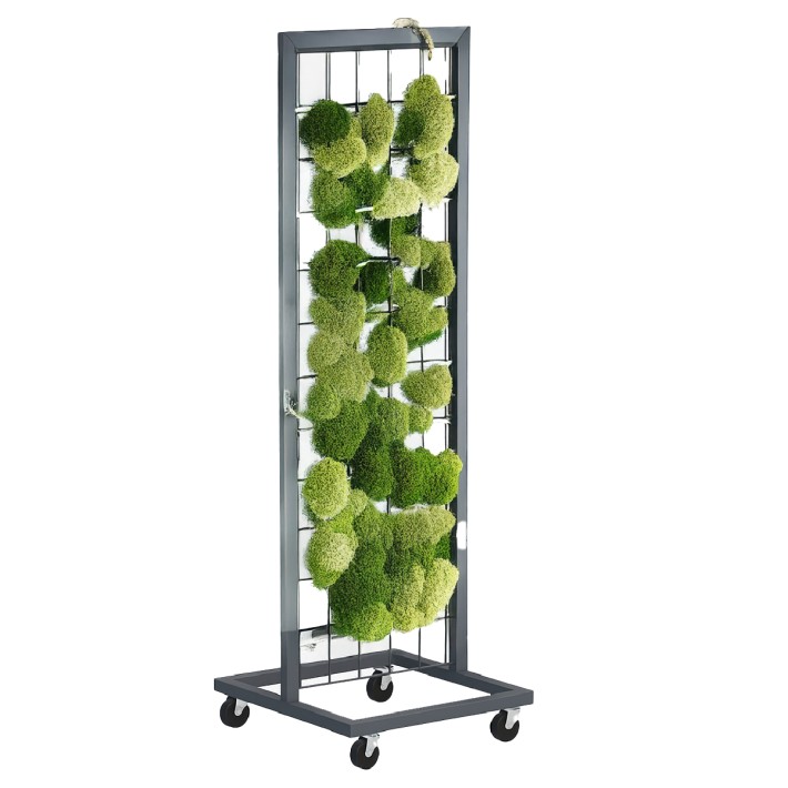 Telaio Parete Green Wall - Struttura Verticale su Ruote