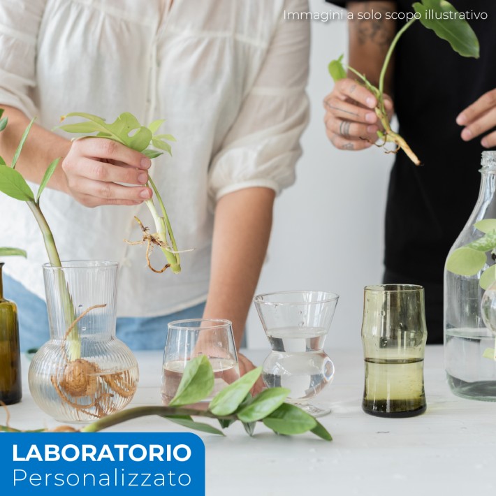 laboratorio personalizzato di ambiente e green economy