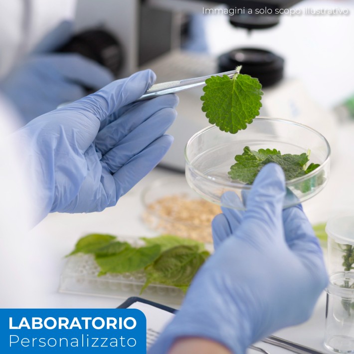 laboratorio personalizzato di biologia