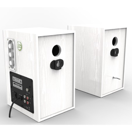 Coppia di Casse Preamplificate ECO100PLUS da 100W - Colore Bianco