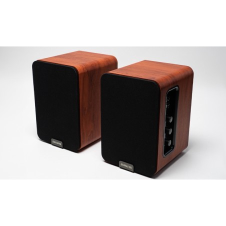 Casse Audio - Aiwa ASP A200BR - Sistema d'Ascolto Bookshelf - 2 x 25 W