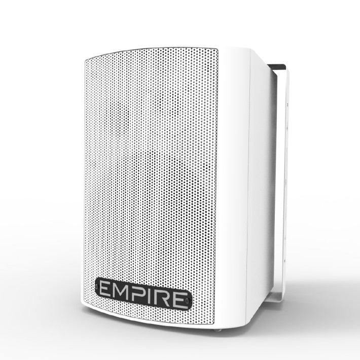 Cassa Singola Wall 300U - Wireless - UHF