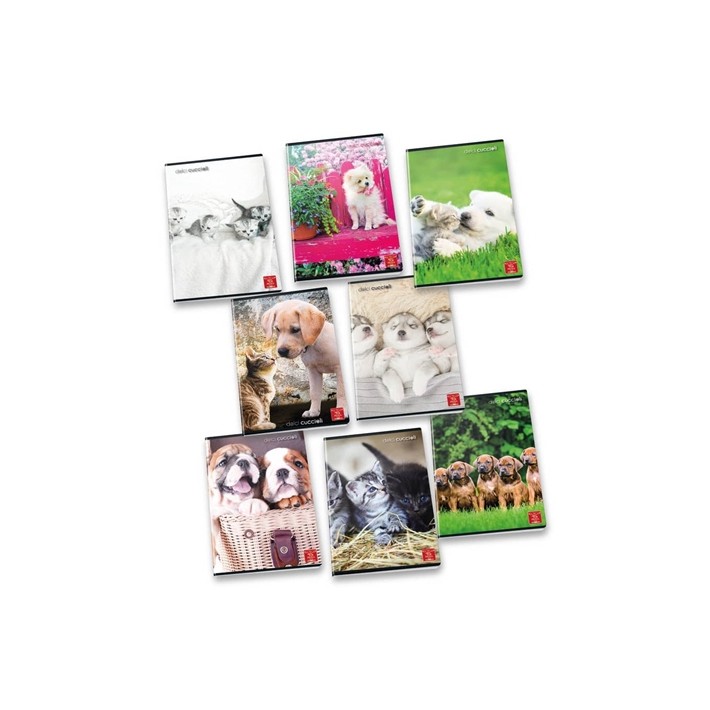 Pigna 8005235100404 quaderno per scrivere A4 42 fogli Multicolore