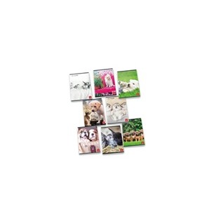 Pigna 8005235139114 quaderno per scrivere A4 42 fogli Multicolore