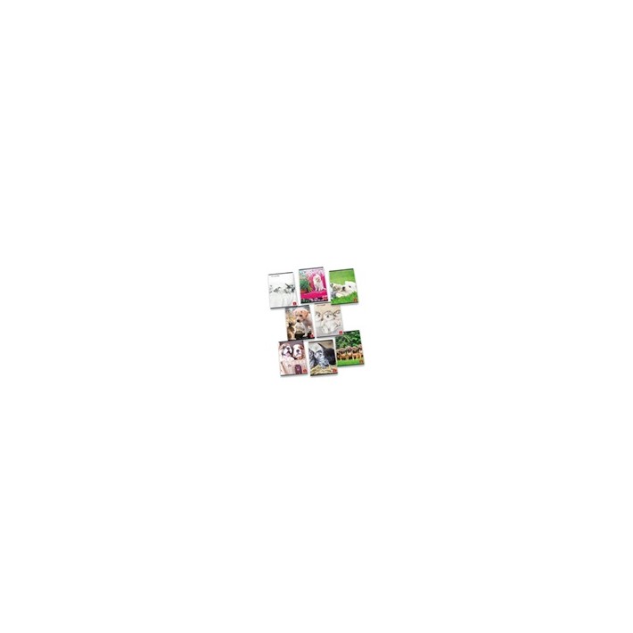 Pigna 8005235139114 quaderno per scrivere A4 42 fogli Multicolore