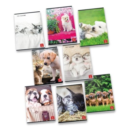 Pigna 8005235100435 quaderno per scrivere A4 42 fogli Colori assortiti