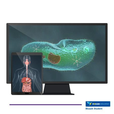Mozaik STUDENT– Licenza Utente/Studente - Abbonamento 2 Anni – Multipiattaforma –  Inclusa XR Extended Reality  - Italiano