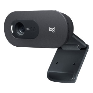 Logitech C505e webcam 1280 x 720 Pixel USB Grafite