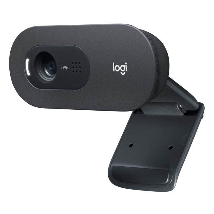 Logitech C505e webcam 1280 x 720 Pixel USB Grafite