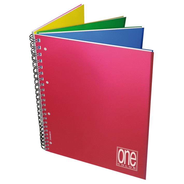 Blasetti Maxi Quaderno a spirale One Color 4x4 PPL A4 fogli 120+4 80 g/m²