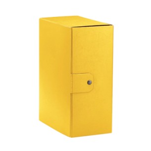 Esselte C35 EUROBOX cartella progetti - dim. 25 x 35 cm dorso 15 cm