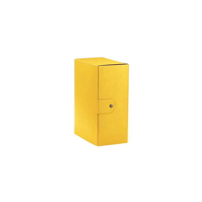 Esselte C35 EUROBOX cartella progetti - dim. 25 x 35 cm dorso 15 cm