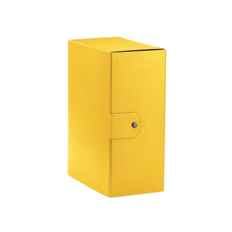 Esselte C35 EUROBOX cartella progetti - dim. 25 x 35 cm dorso 15 cm