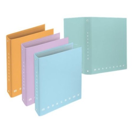 Pigna 022990130 raccoglitore ad anelli A4 Colori assortiti