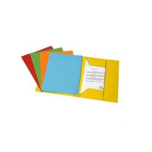 Fraschini 510-ASS cartella Multicolore A4
