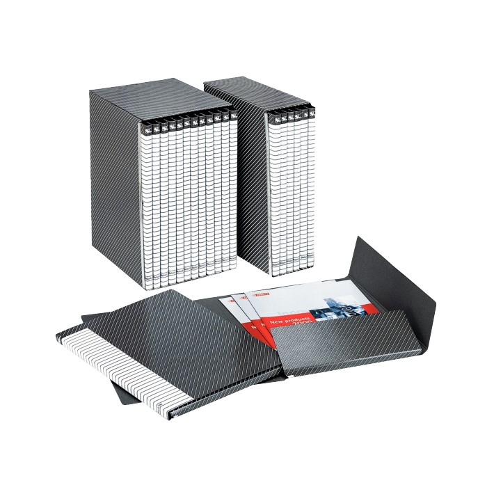 Esselte I55 DELSO LINE gruppo 12 cartelle dorso 1,5 cm