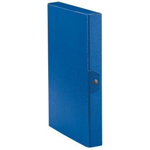 Esselte C24 EUROBOX cartella progetti - dim. 25 x 35 cm dorso 4 cm