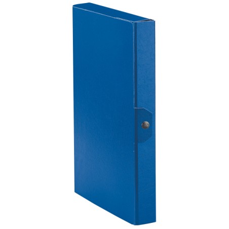 Esselte C24 EUROBOX cartella progetti - dim. 25 x 35 cm dorso 4 cm