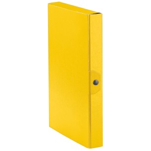 Esselte C24 EUROBOX cartella progetti - dim. 25 x 35 cm dorso 4 cm