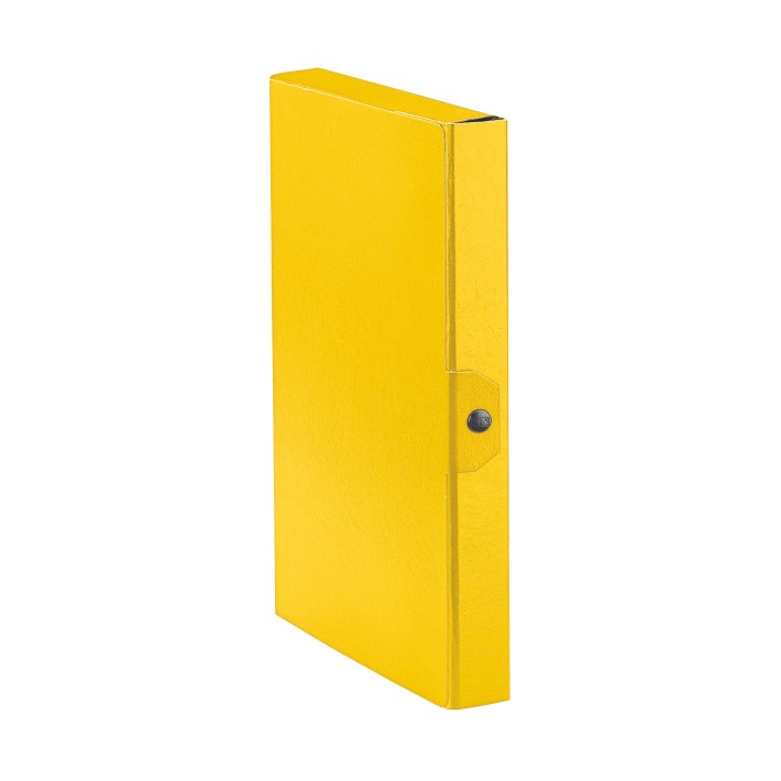 Esselte C24 EUROBOX cartella progetti - dim. 25 x 35 cm dorso 4 cm
