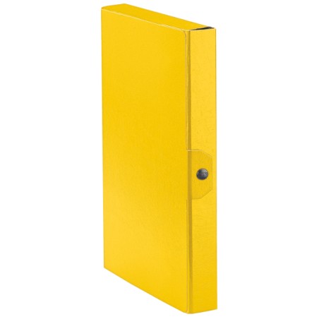 Esselte C24 EUROBOX cartella progetti - dim. 25 x 35 cm dorso 4 cm