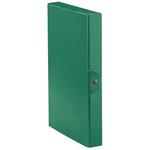 Esselte C24 EUROBOX cartella progetti - dim. 25 x 35 cm dorso 4 cm