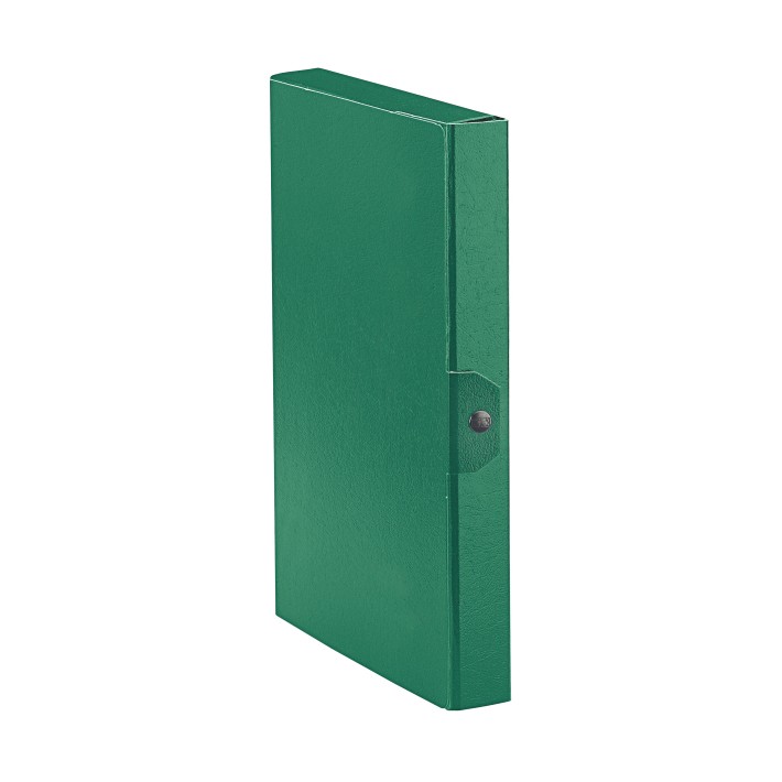 Esselte C24 EUROBOX cartella progetti - dim. 25 x 35 cm dorso 4 cm