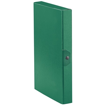 Esselte C24 EUROBOX cartella progetti - dim. 25 x 35 cm dorso 4 cm