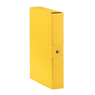 Esselte C26 EUROBOX cartella progetti - dim. 25 x 35 cm dorso 6 cm