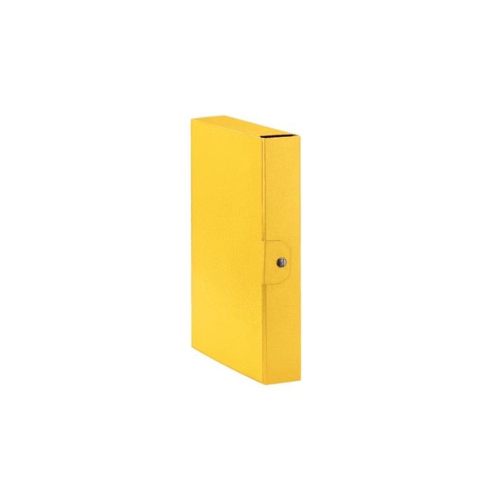 Esselte C26 EUROBOX cartella progetti - dim. 25 x 35 cm dorso 6 cm