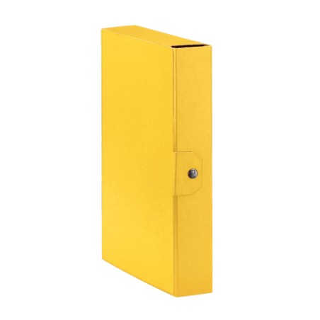 Esselte C26 EUROBOX cartella progetti - dim. 25 x 35 cm dorso 6 cm