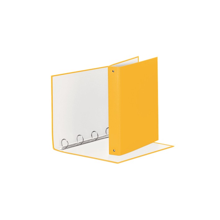 Esselte MEETING raccoglitore ad anelli 4-30-Tondo - f.to 22 x 30 cm