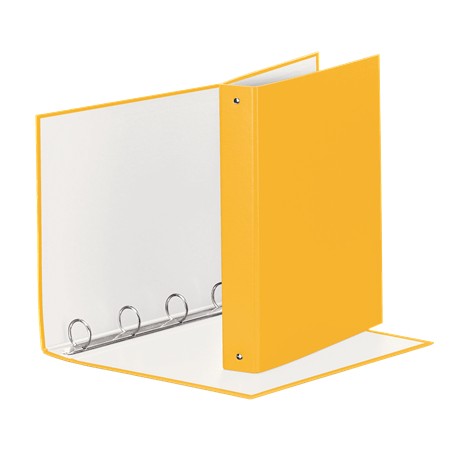 Esselte MEETING raccoglitore ad anelli 4-30-Tondo - f.to 22 x 30 cm