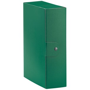 Esselte C30 EUROBOX cartella progetti - dim. 25 x 35 cm dorso 10 cm
