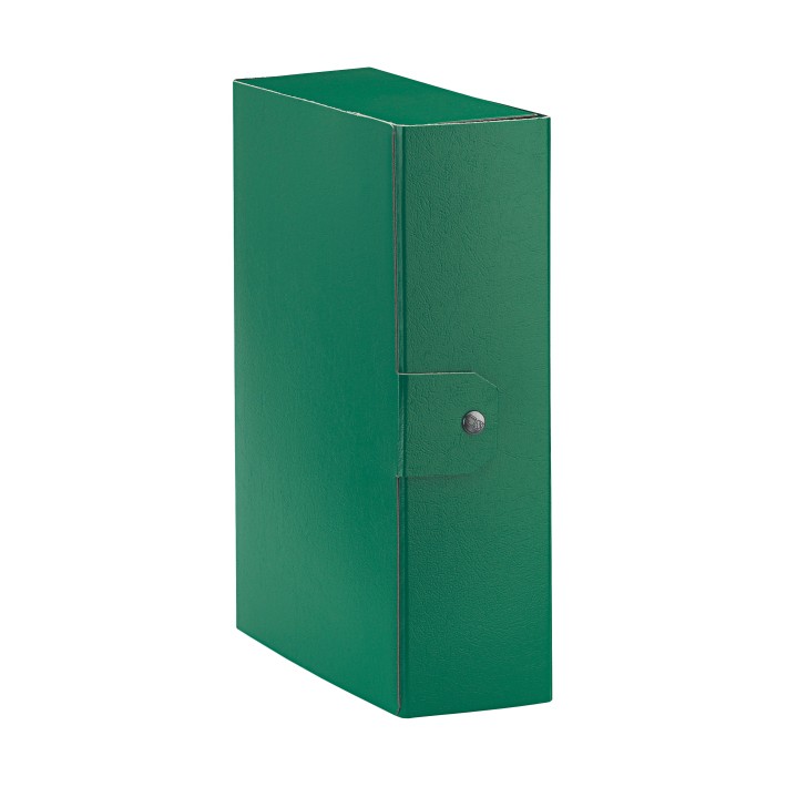Esselte C30 EUROBOX cartella progetti - dim. 25 x 35 cm dorso 10 cm