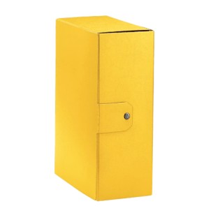 Esselte C32 EUROBOX cartella progetti - dim. 25 x 35 cm dorso 12 cm