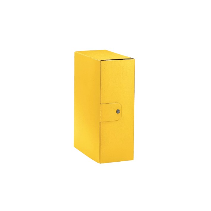 Esselte C32 EUROBOX cartella progetti - dim. 25 x 35 cm dorso 12 cm