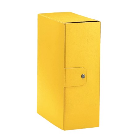 Esselte C32 EUROBOX cartella progetti - dim. 25 x 35 cm dorso 12 cm