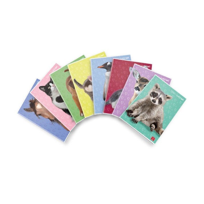 Pigna 02330170B quaderno per scrivere Multicolore