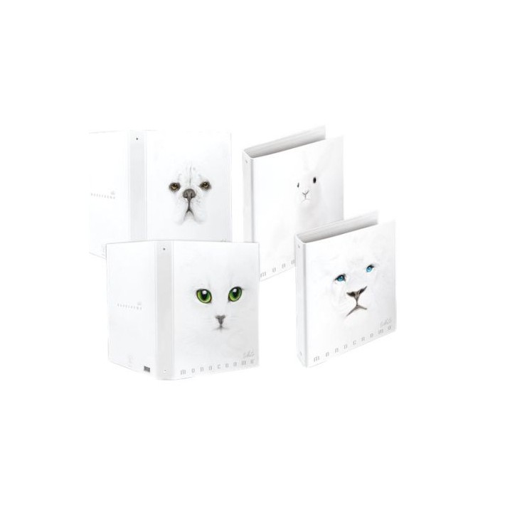 Pigna 023091230 raccoglitore ad anelli A4 Bianco