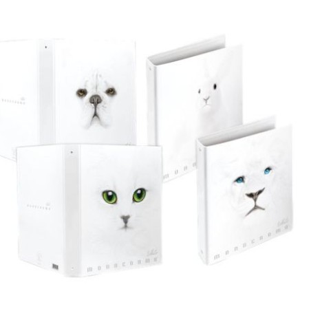 Pigna 023091230 raccoglitore ad anelli A4 Bianco