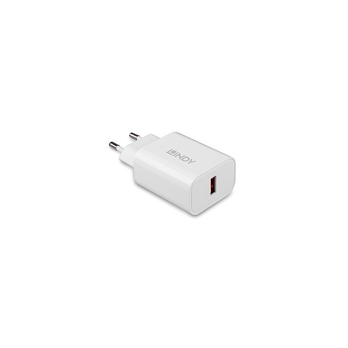Lindy 73412 Caricabatterie per dispositivi mobili Smartphone, Tablet Bianco AC Ricarica rapida Interno, Esterno