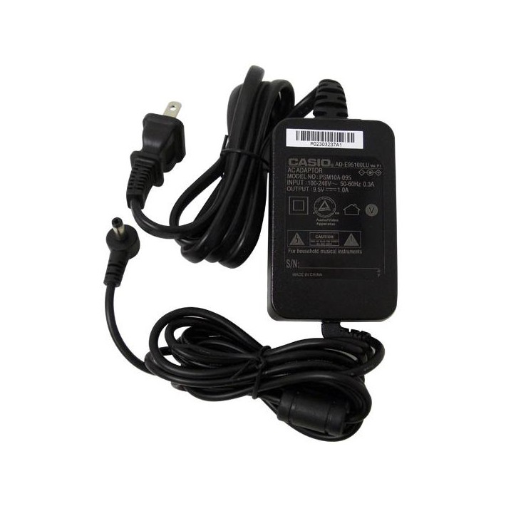 Casio AD-E95100 adattatore e invertitore Interno Nero
