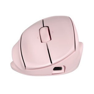 HP Tilt Ergo PNK MSE 720M EMEA-INTL EN L mouse Casa Mano destra RF senza fili + Bluetooth 6000 DPI