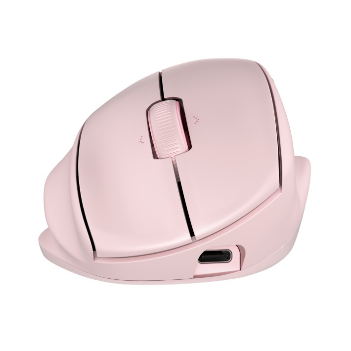 HP Tilt Ergo PNK MSE 720M EMEA-INTL EN L mouse Casa Mano destra RF senza fili + Bluetooth 6000 DPI