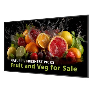 Philips Serie 5000 65BDL5050D/00 visualizzatore di messaggi 165,1 cm (65") LCD Wi-Fi 600 cd/m² Full HD Nero Processore 