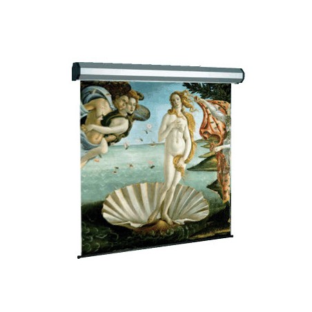 Sopar Electric professional schermo per proiettore 3,17 m (125") 1:1